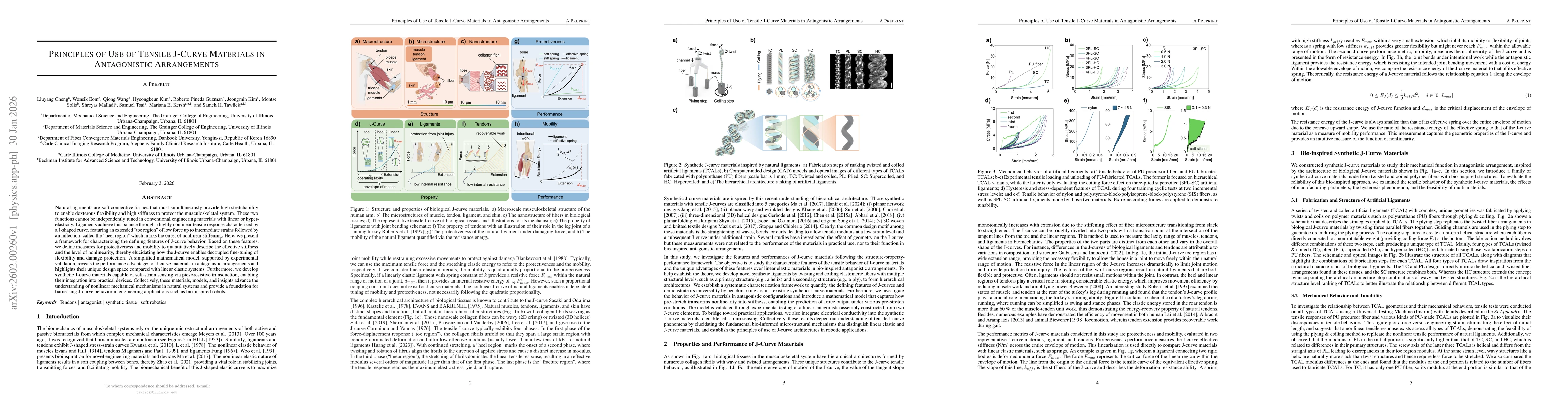 Thumbnail for Principles of Use of Tensile J-Curve Materials in Antagonistic Arrangements