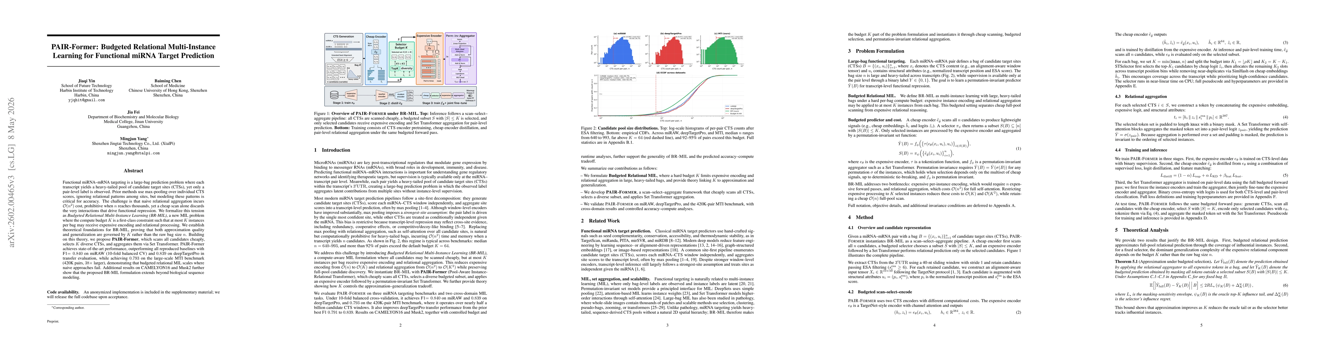 Thumbnail for PAIR-Former: Budgeted Relational MIL for miRNA Target Prediction