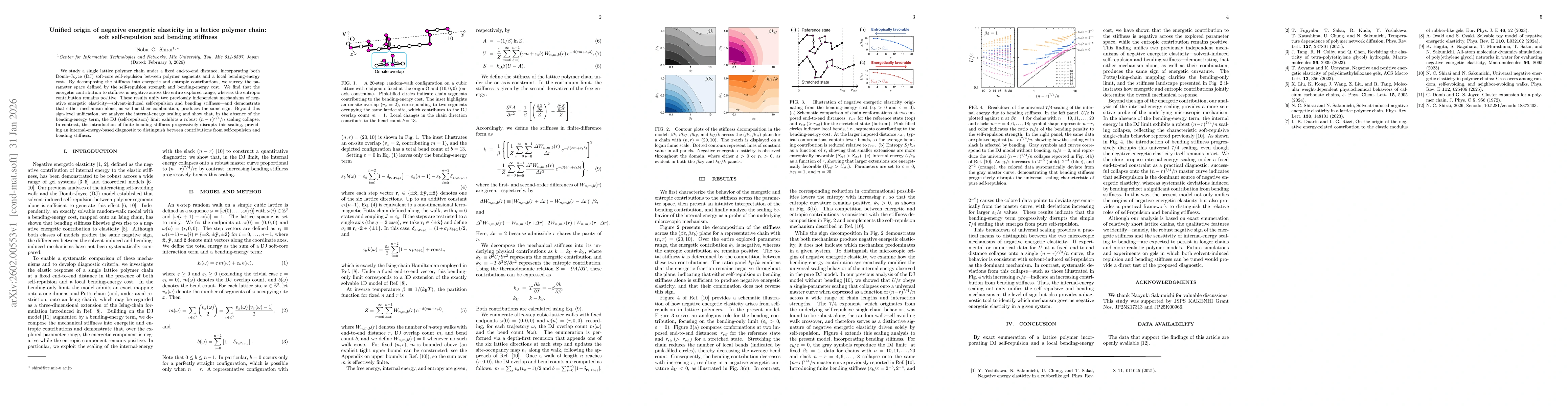 Thumbnail for Unified origin of negative energetic elasticity in a lattice polymer chain: soft self-repulsion and bending stiffness