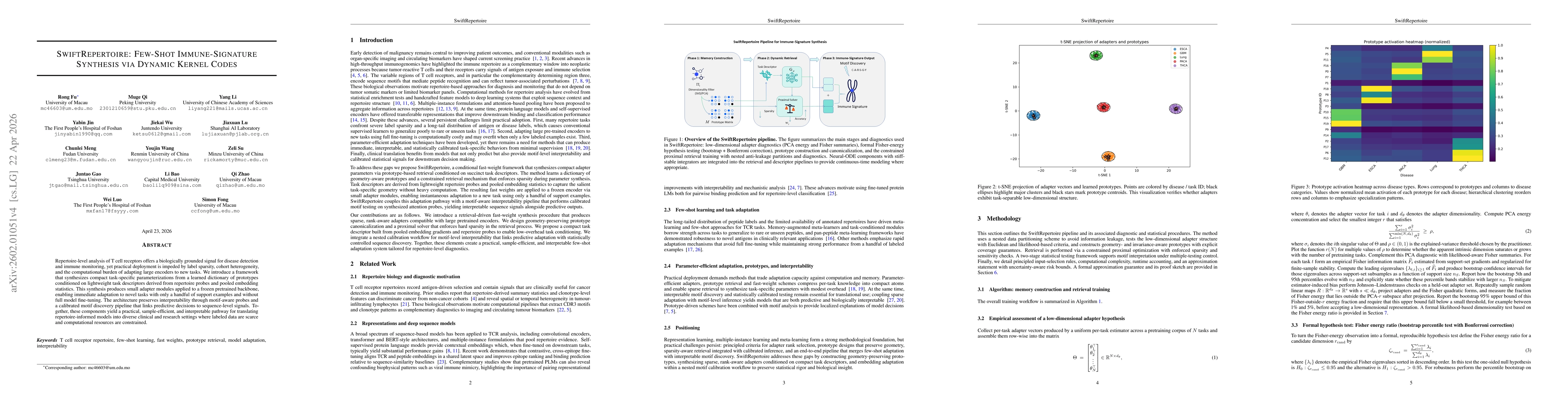 Thumbnail for SwiftRepertoire: Few-Shot Immune-Signature Synthesis via Dynamic Kernel Codes