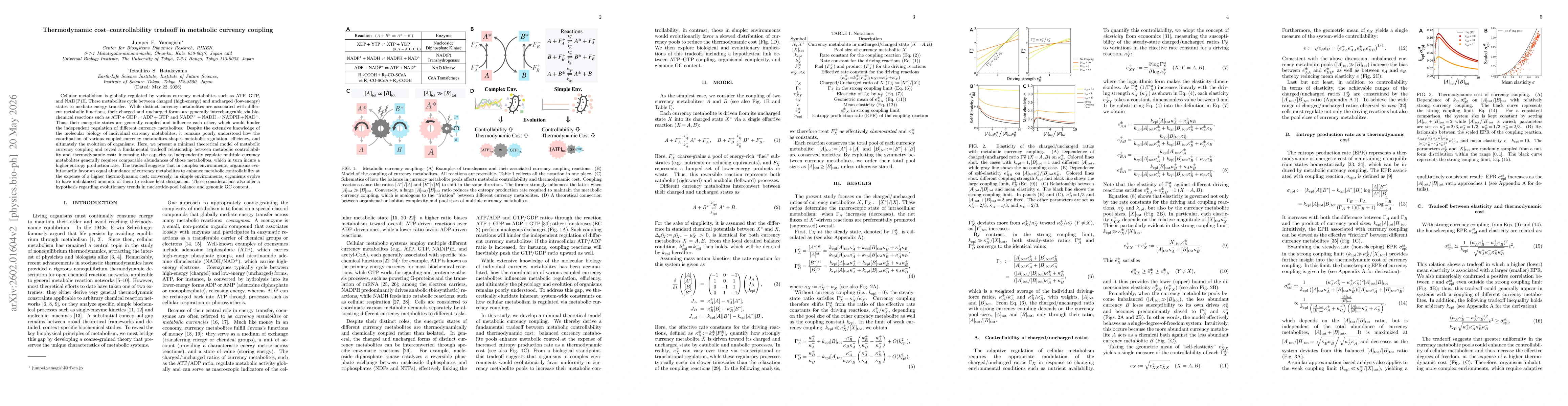 Thumbnail for Thermodynamic cost-controllability tradeoff in metabolic currency coupling