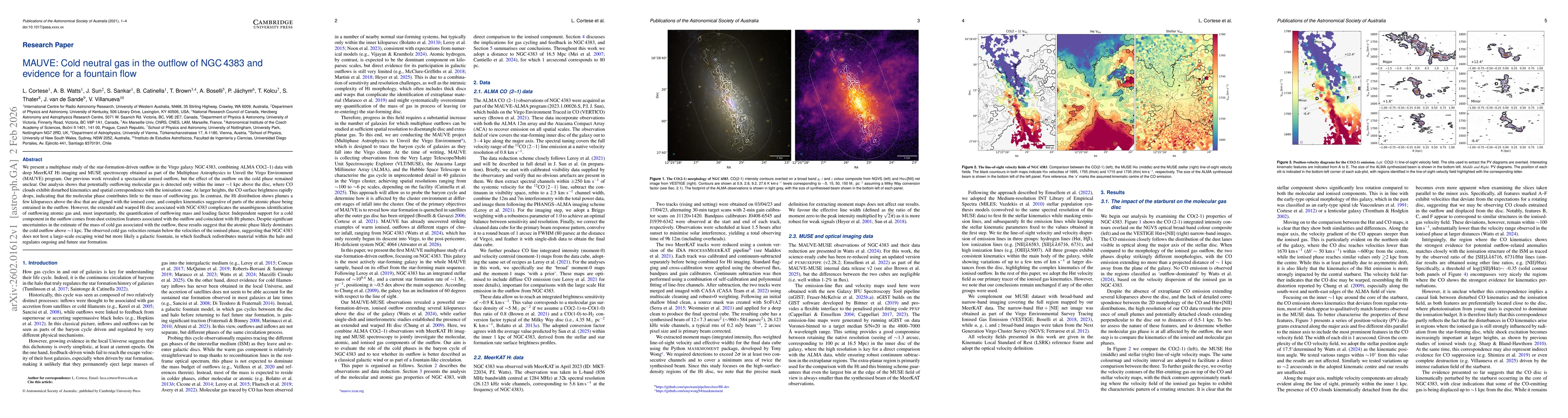 Thumbnail for MAUVE: Cold neutral gas in the outflow of NGC 4383 and evidence for a fountain flow