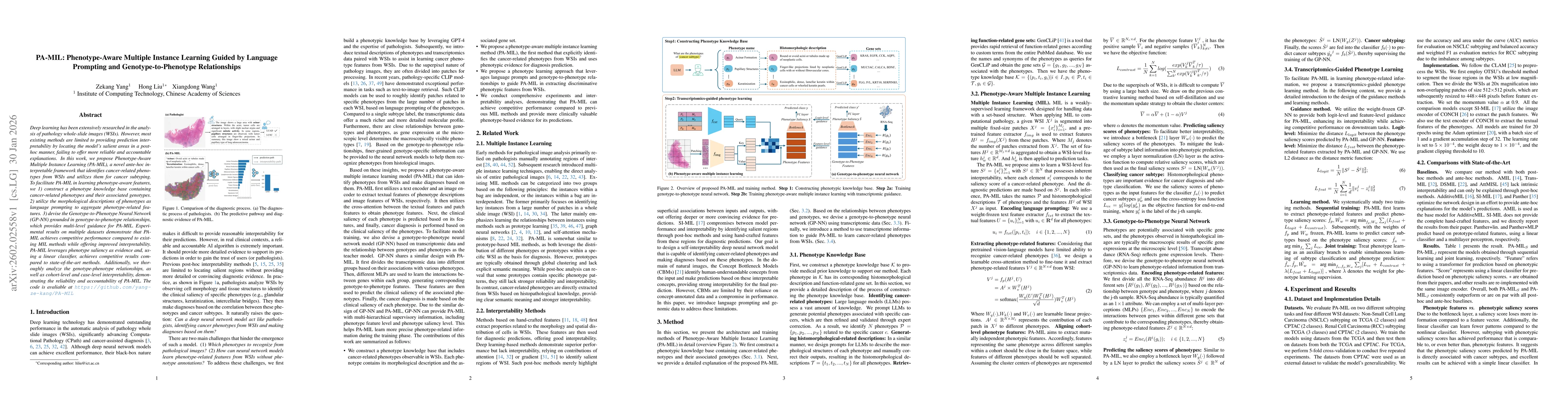 Thumbnail for PA-MIL: Phenotype-Aware Multiple Instance Learning Guided by Language Prompting and Genotype-to-Phenotype Relationships