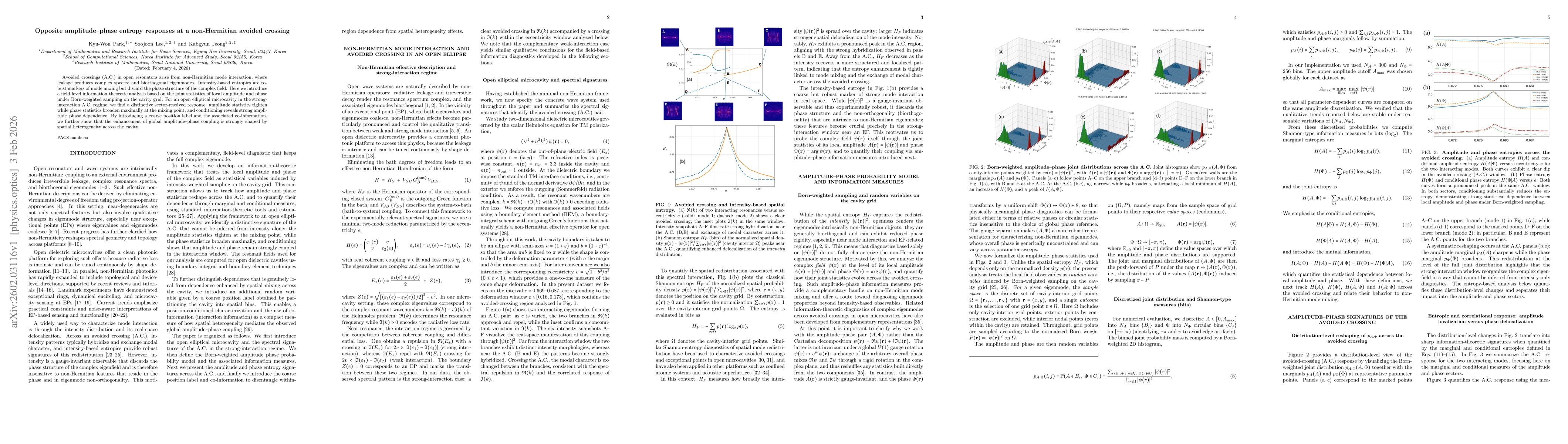 Thumbnail for Opposite amplitude phase entropy responses at a non Hermitian avoided crossing