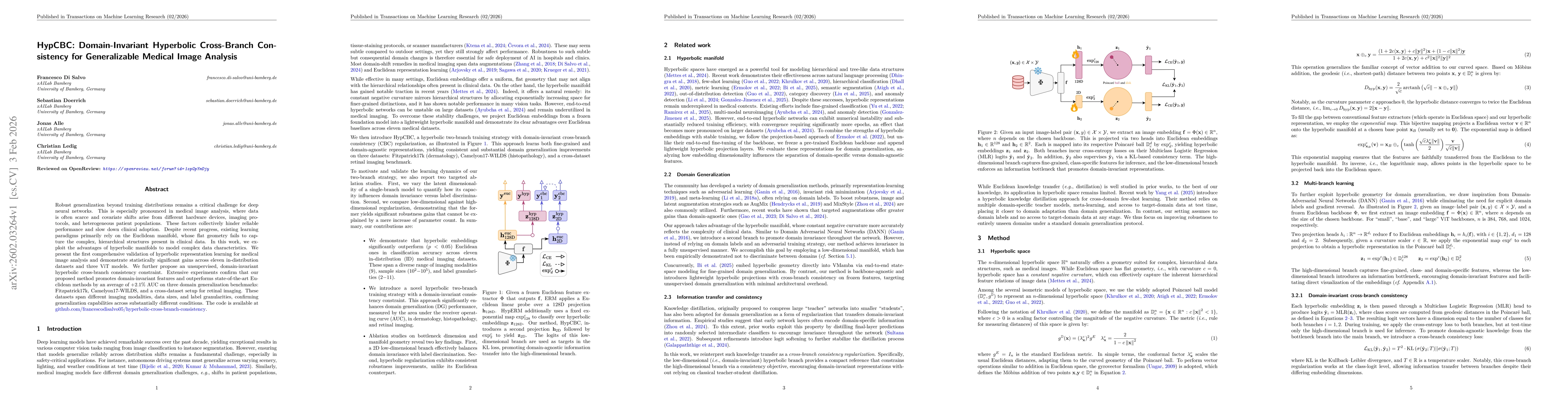 Thumbnail for HypCBC: Domain-Invariant Hyperbolic Cross-Branch Consistency for Generalizable Medical Image Analysis