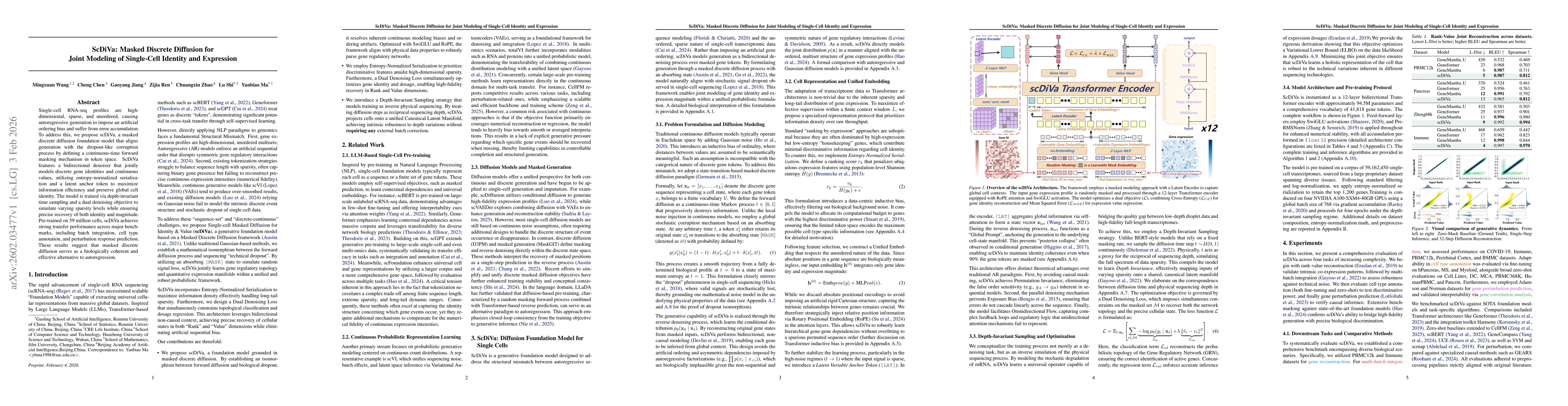 Thumbnail for ScDiVa: Masked Discrete Diffusion for Joint Modeling of Single-Cell Identity and Expression