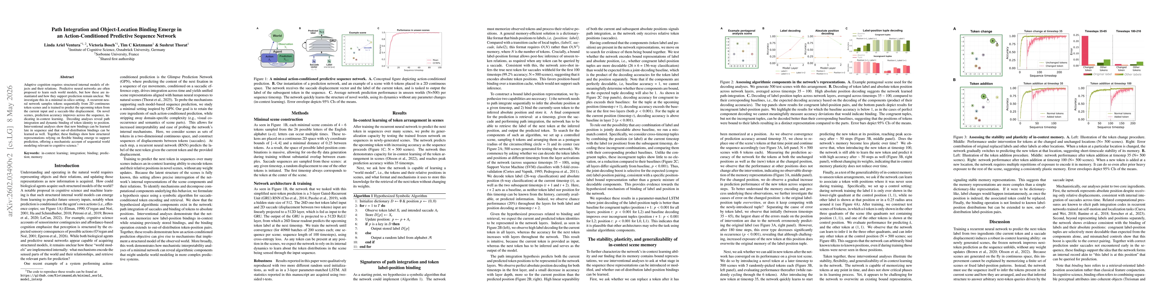 Thumbnail for A Minimal Task Reveals Emergent Path Integration and Object-Location Binding in a Predictive Sequence Model