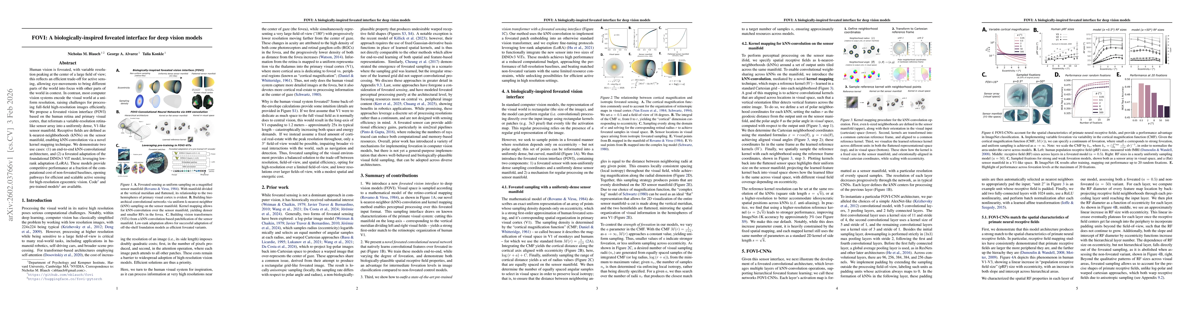 Thumbnail for FOVI: A biologically-inspired foveated interface for deep vision models