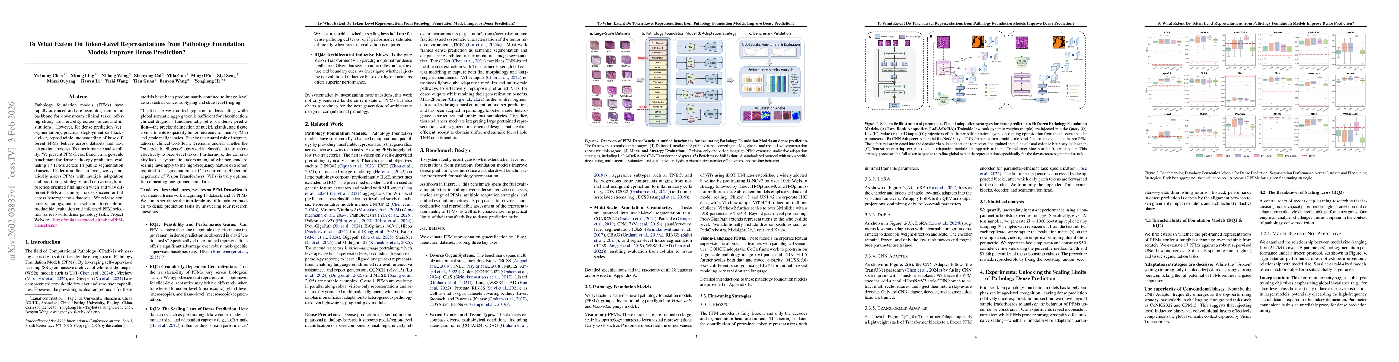 Thumbnail for To What Extent Do Token-Level Representations from Pathology Foundation Models Improve Dense Prediction?