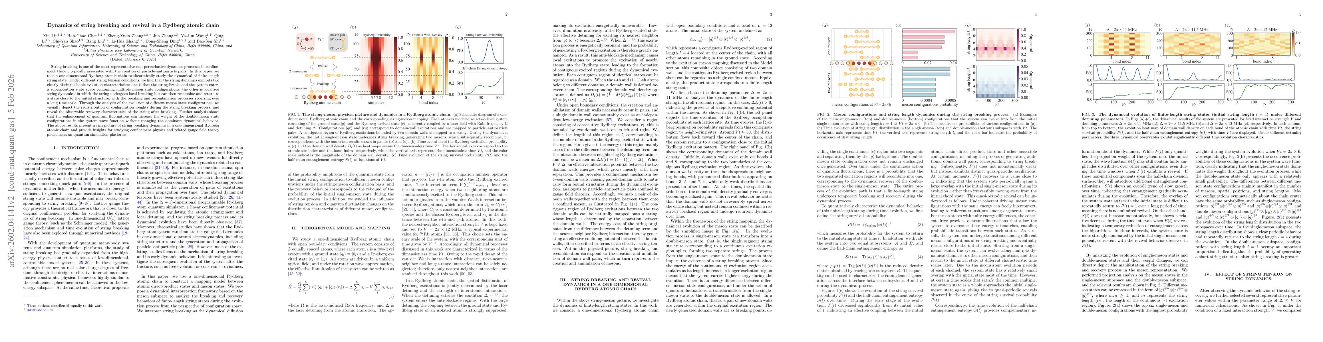 Thumbnail for Dynamics of string breaking and revival in a Rydberg atomic chain