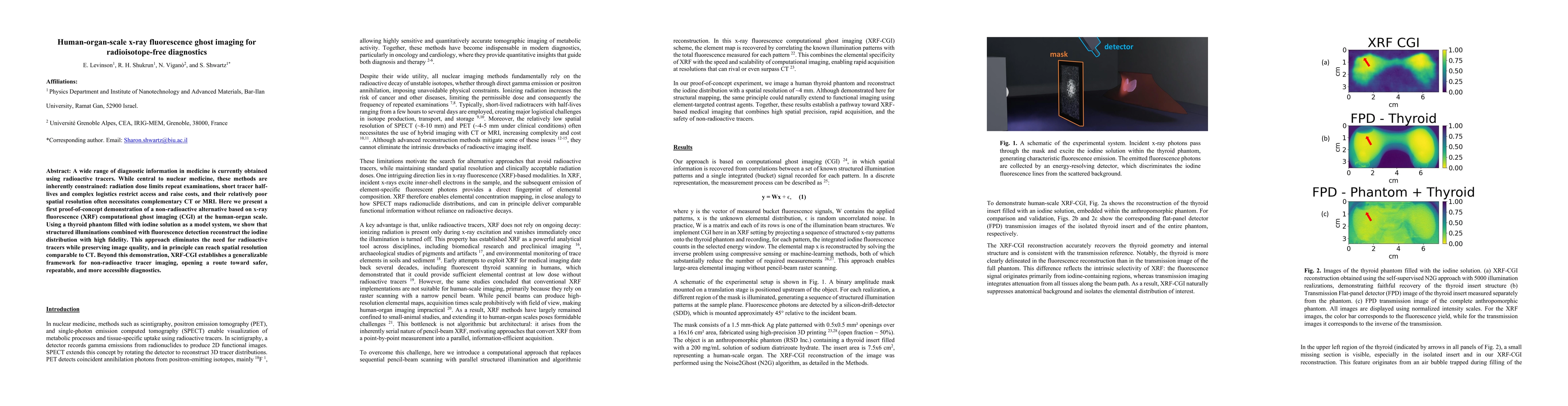 Thumbnail for Human-organ-scale x-ray fluorescence ghost imaging for radioisotope-free diagnostics