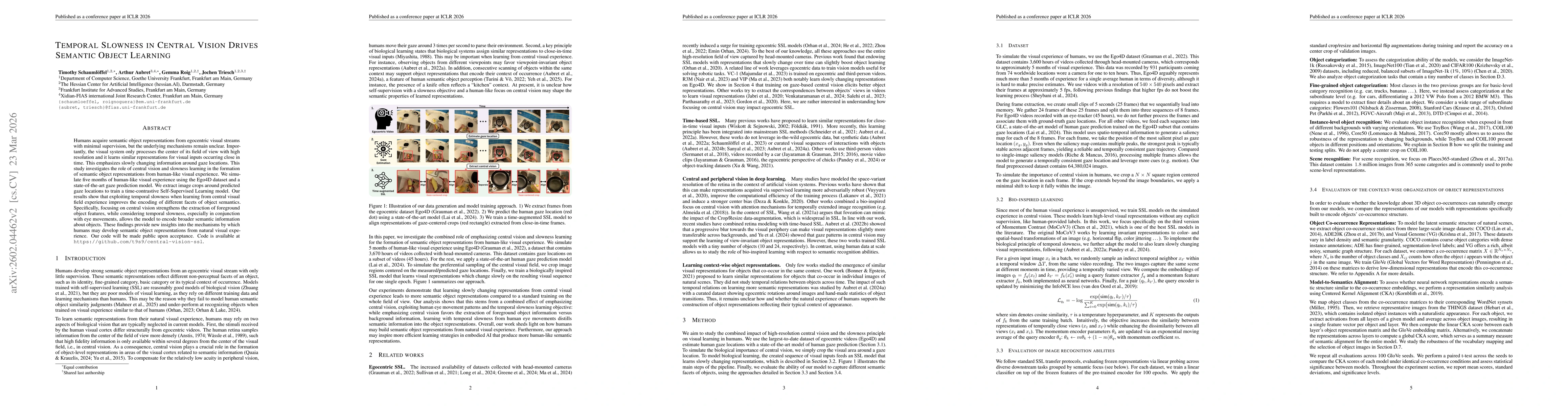 Thumbnail for Temporal Slowness in Central Vision Drives Semantic Object Learning