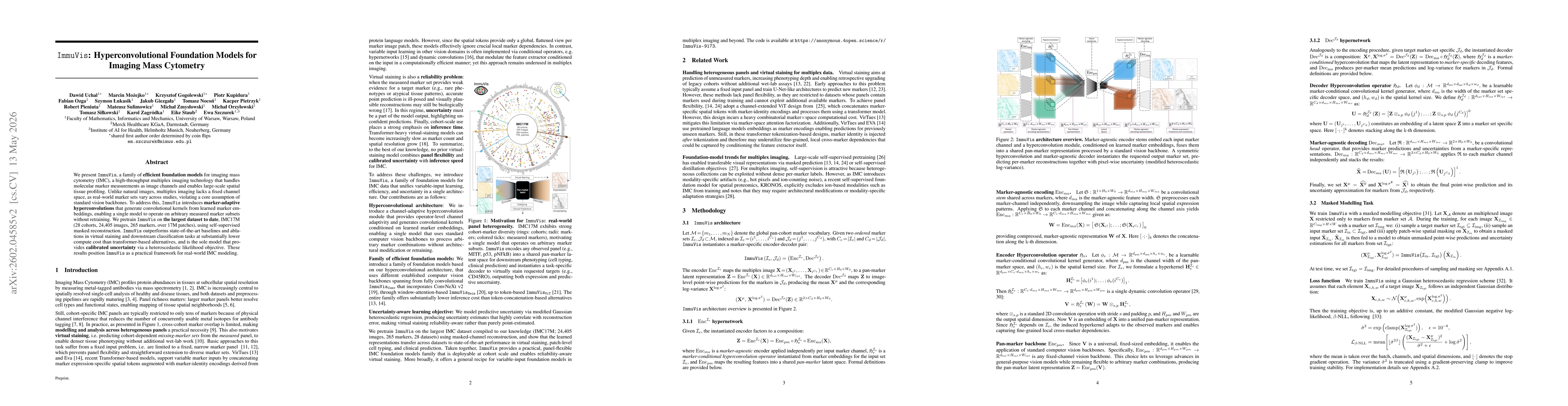 Thumbnail for ImmuVis: Hyperconvolutional Foundation Model for Imaging Mass Cytometry