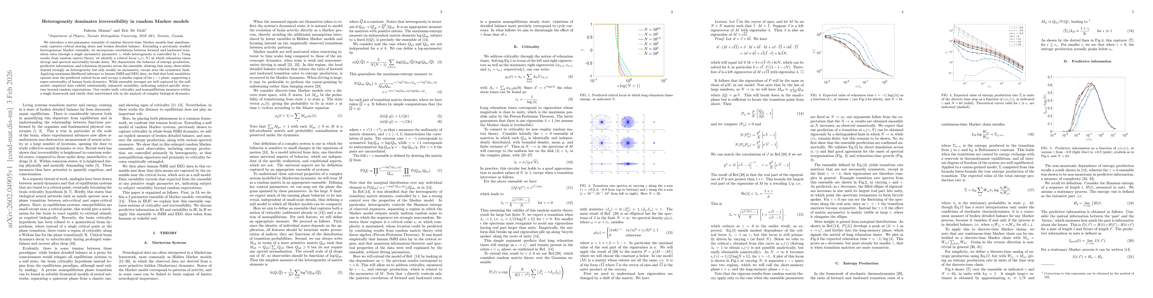Thumbnail for Heterogeneity dominates irreversibility in random Markov models