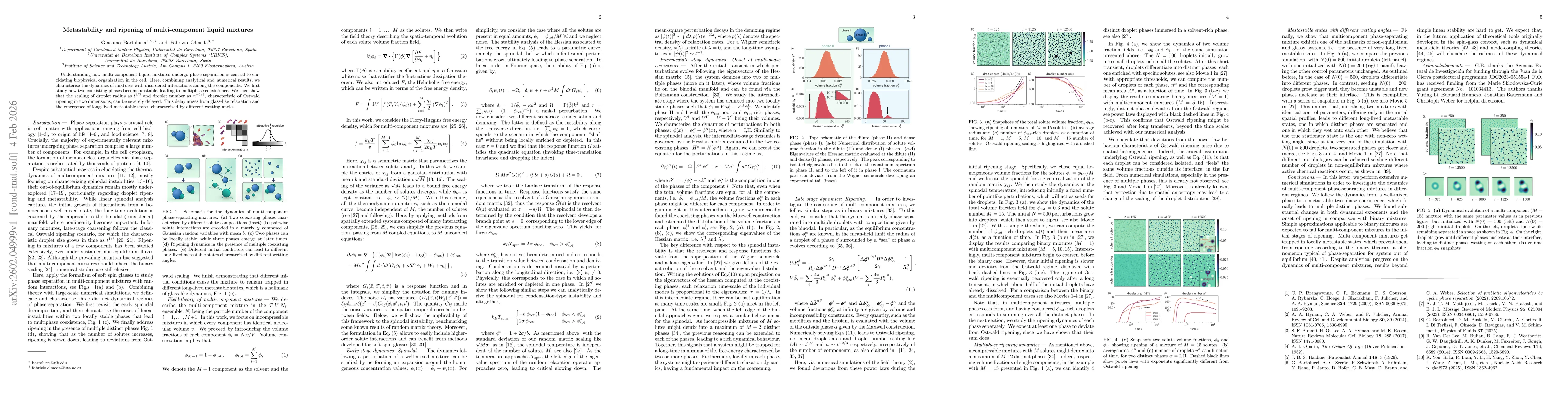 Thumbnail for Metastability and ripening of multi-component liquid mixtures