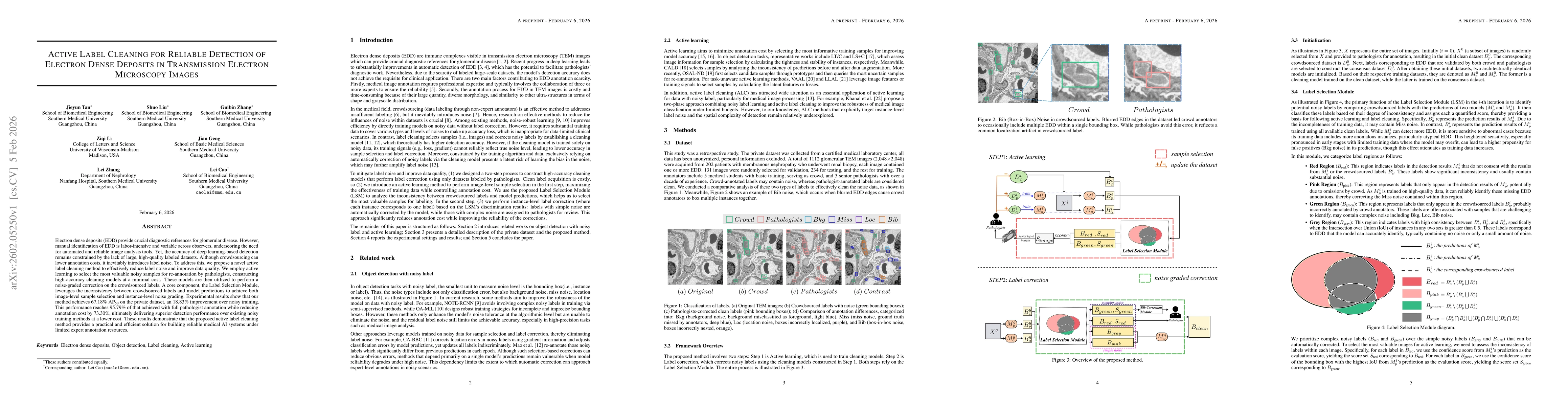 Thumbnail for Active Label Cleaning for Reliable Detection of Electron Dense Deposits in Transmission Electron Microscopy Images