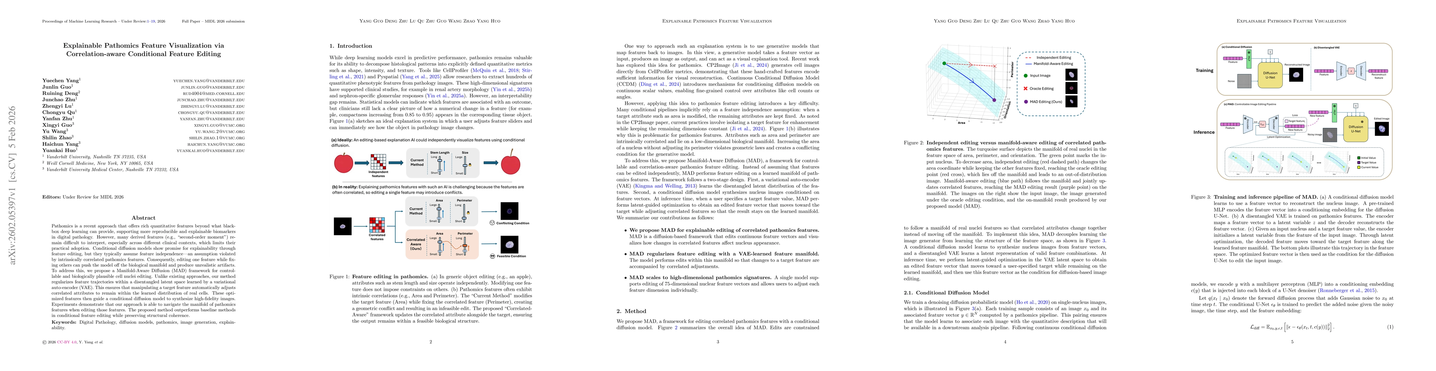 Thumbnail for Explainable Pathomics Feature Visualization via Correlation-aware Conditional Feature Editing