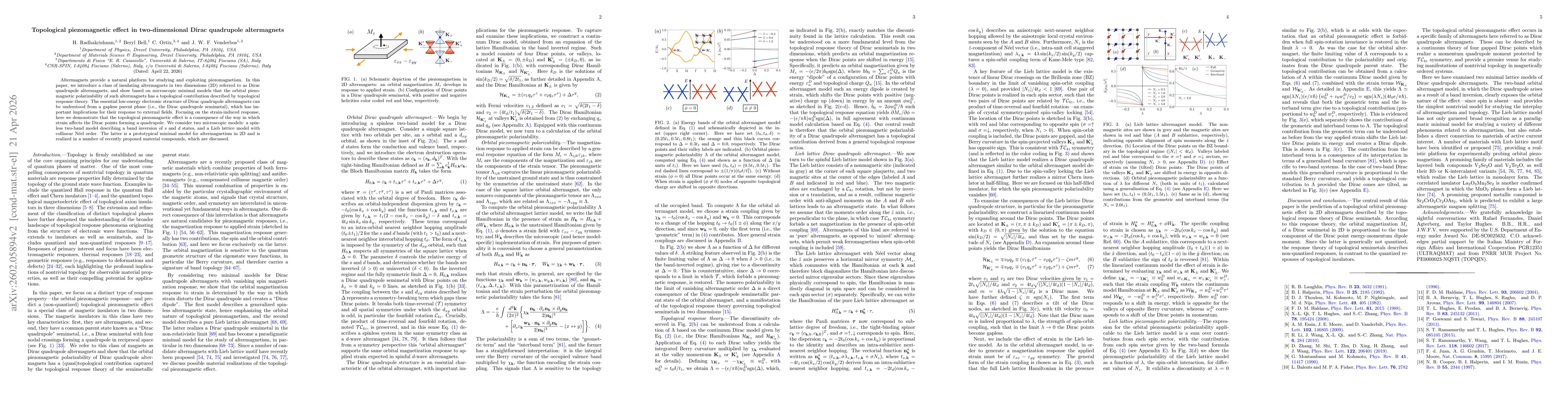 Thumbnail for Topological piezomagnetic effect in two-dimensional Dirac quadrupole altermagnets