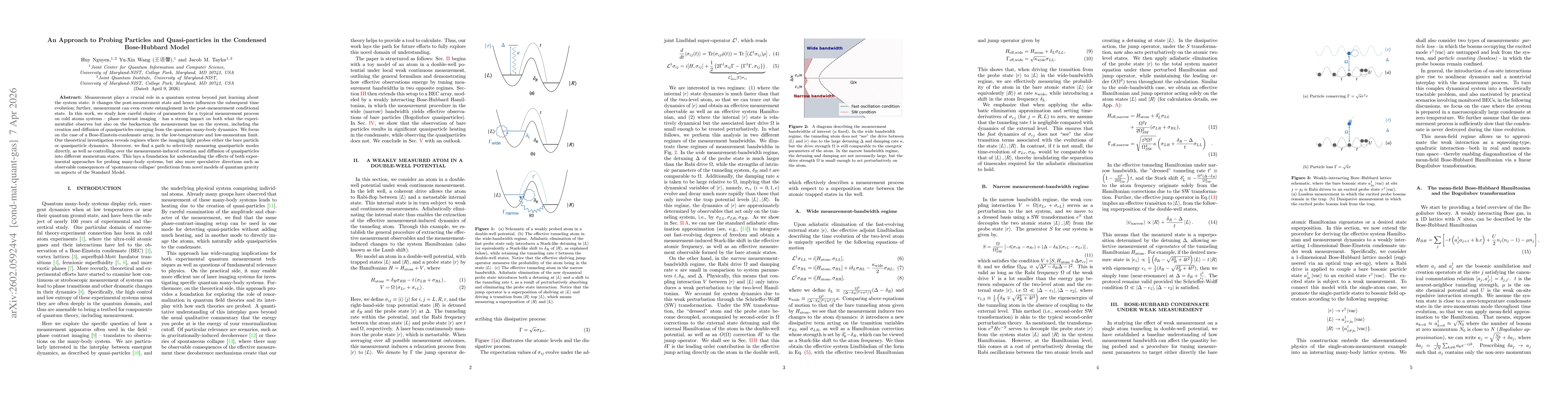 Thumbnail for Measurement-Induced Dynamics of Particles and Quasiparticles in a Bose-Einstein-condensate array