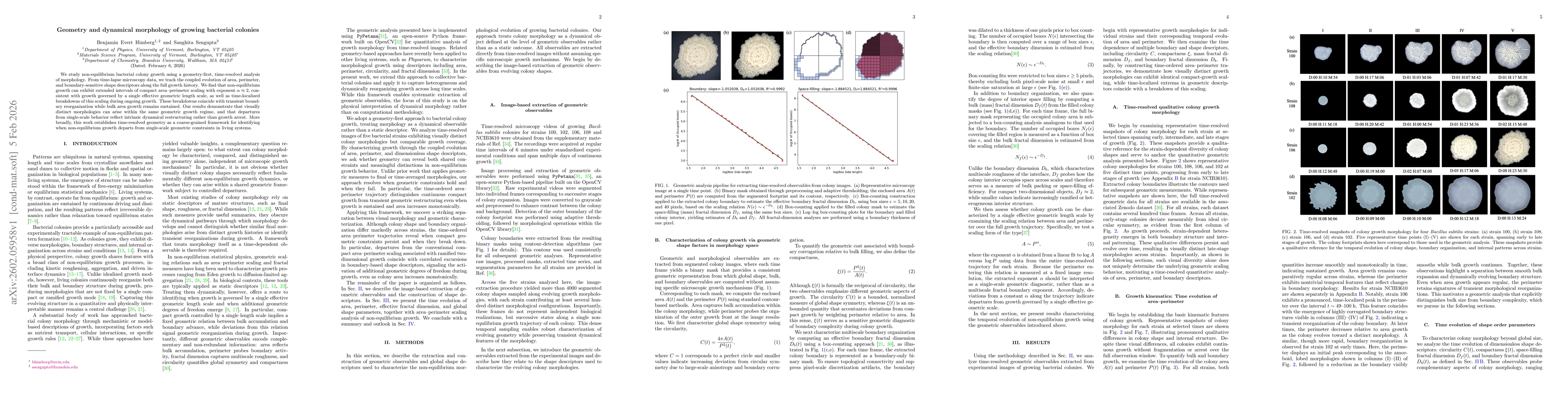 Thumbnail for Geometry and dynamical morphology of growing bacterial colonies