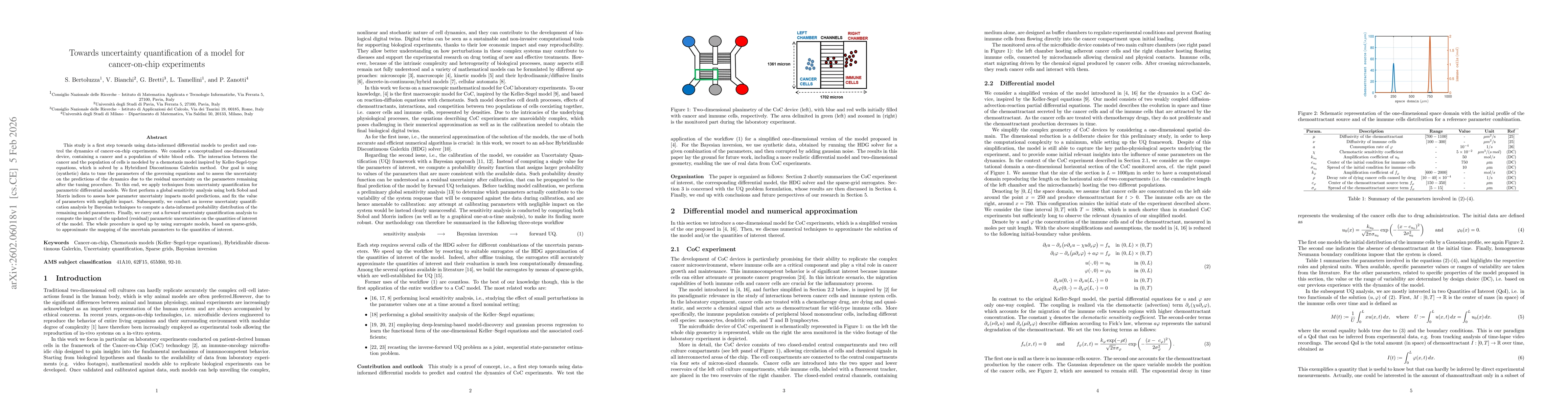 Thumbnail for Towards uncertainty quantification of a model for cancer-on-chip experiments
