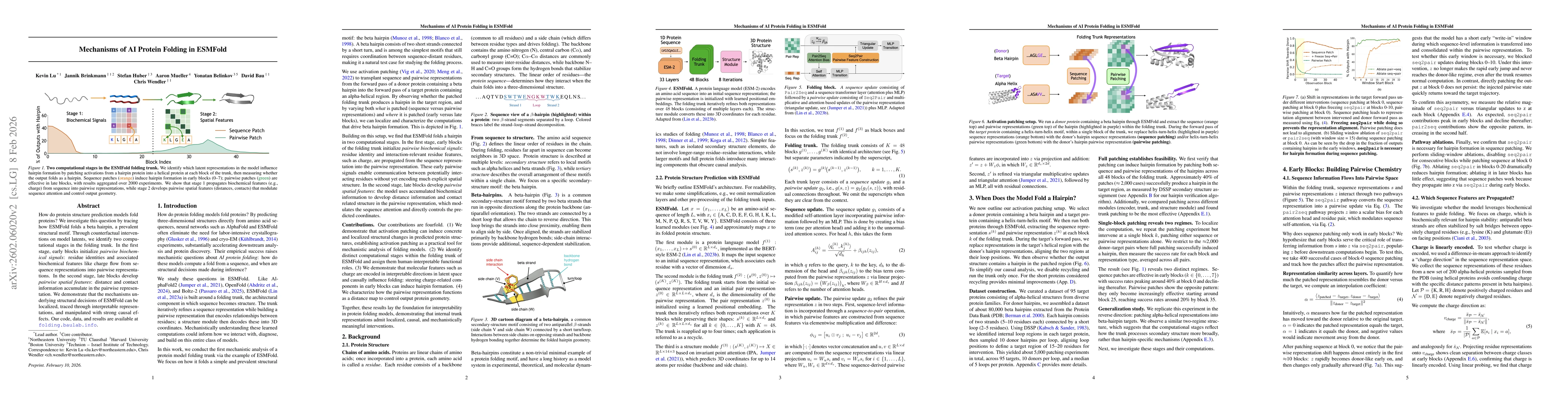 Thumbnail for Mechanisms of AI Protein Folding in ESMFold