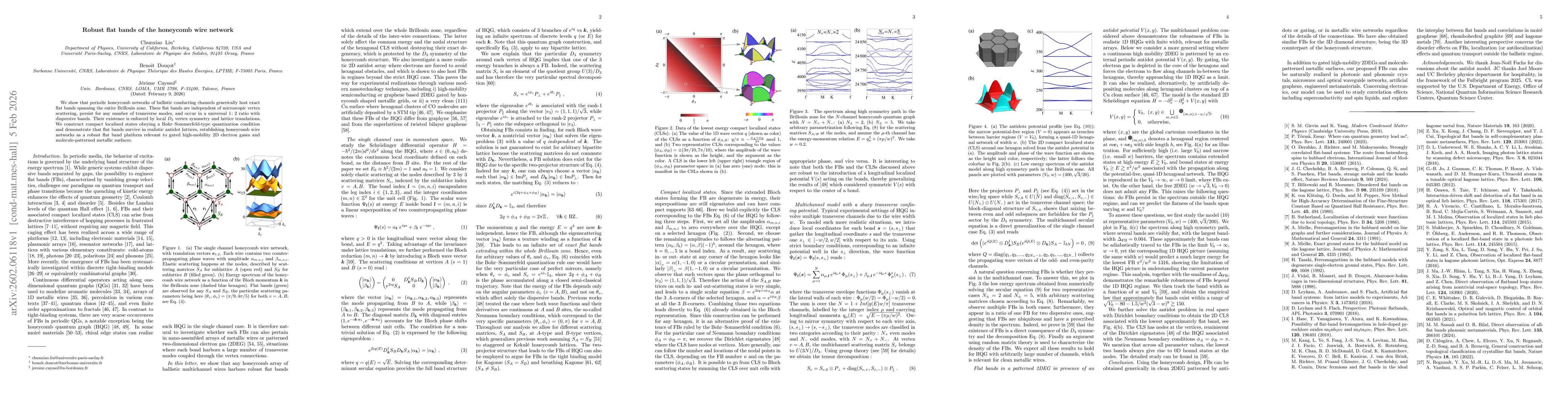 Thumbnail for Robust flat bands of the honeycomb wire network