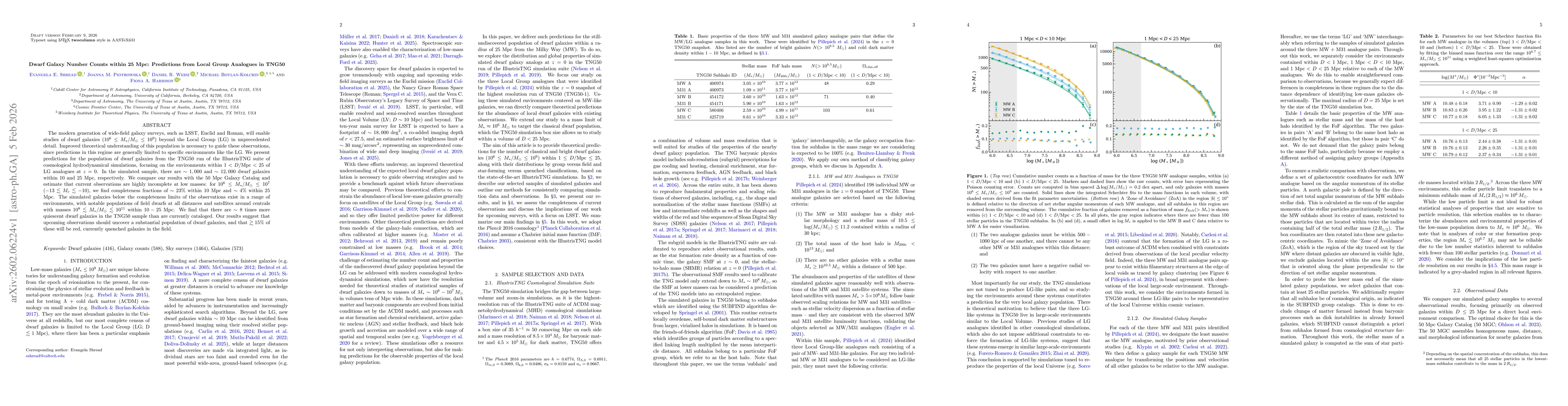 Thumbnail for Dwarf Galaxy Number Counts within 25 Mpc: Predictions from Local Group Analogues in TNG50
