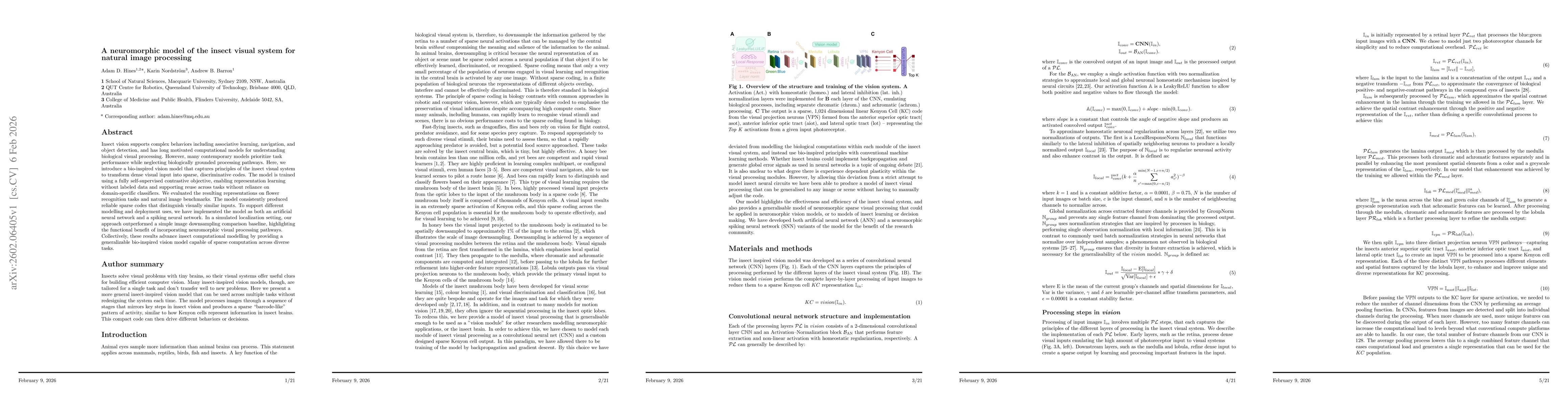 Thumbnail for A neuromorphic model of the insect visual system for natural image processing