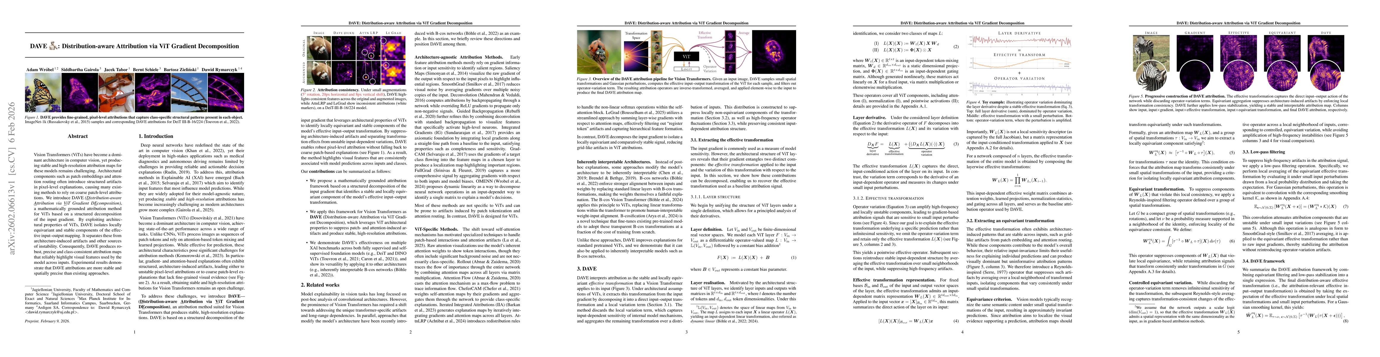 Thumbnail for DAVE: Distribution-aware Attribution via ViT Gradient Decomposition