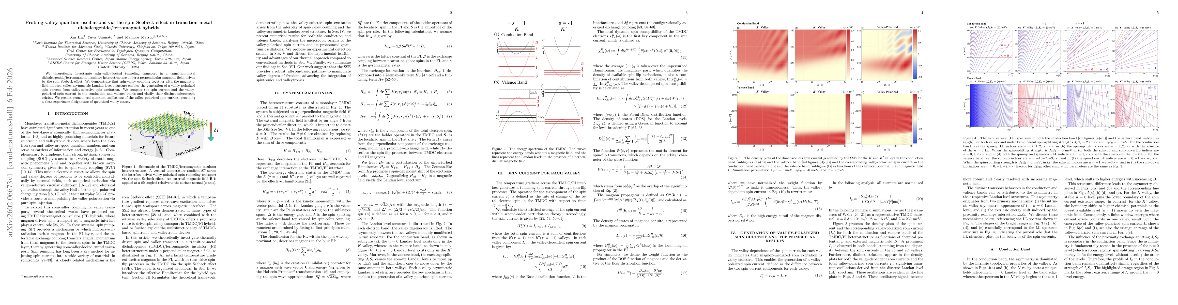 Thumbnail for Probing valley quantum oscillations via the spin Seebeck effect in transition metal dichalcogenide/ferromagnet hybrids