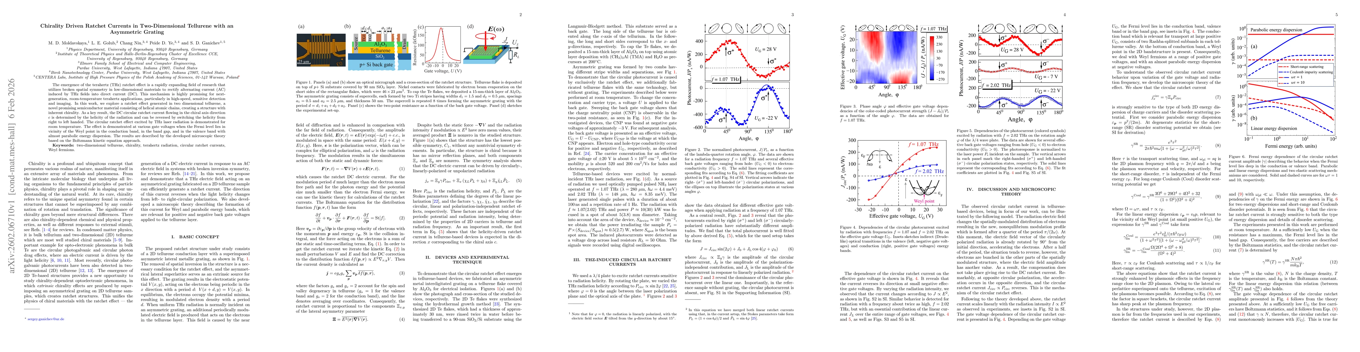 Thumbnail for Chirality Driven Ratchet Currents in Two-Dimensional Tellurene with an Asymmetric Grating