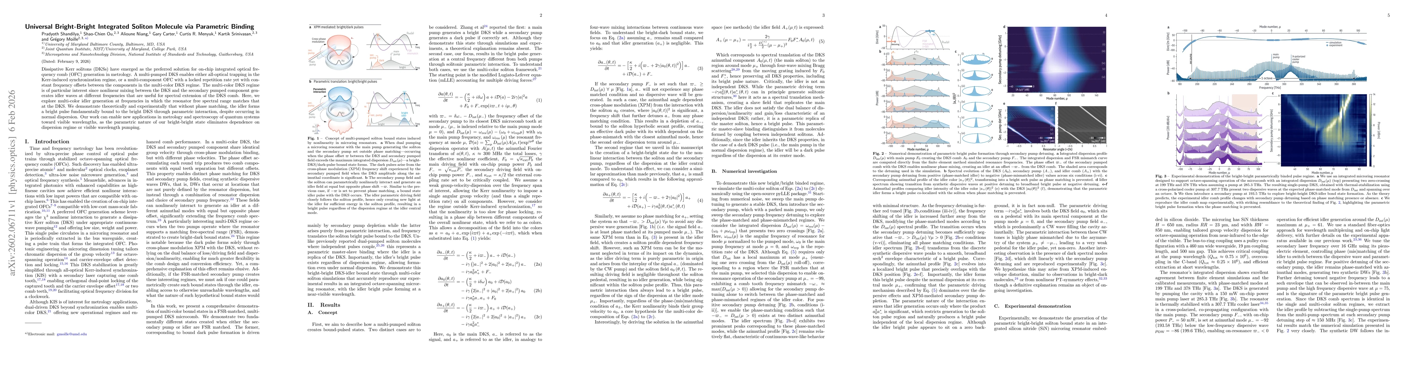 Thumbnail for Universal Bright-Bright Integrated Soliton Molecule via Parametric Binding