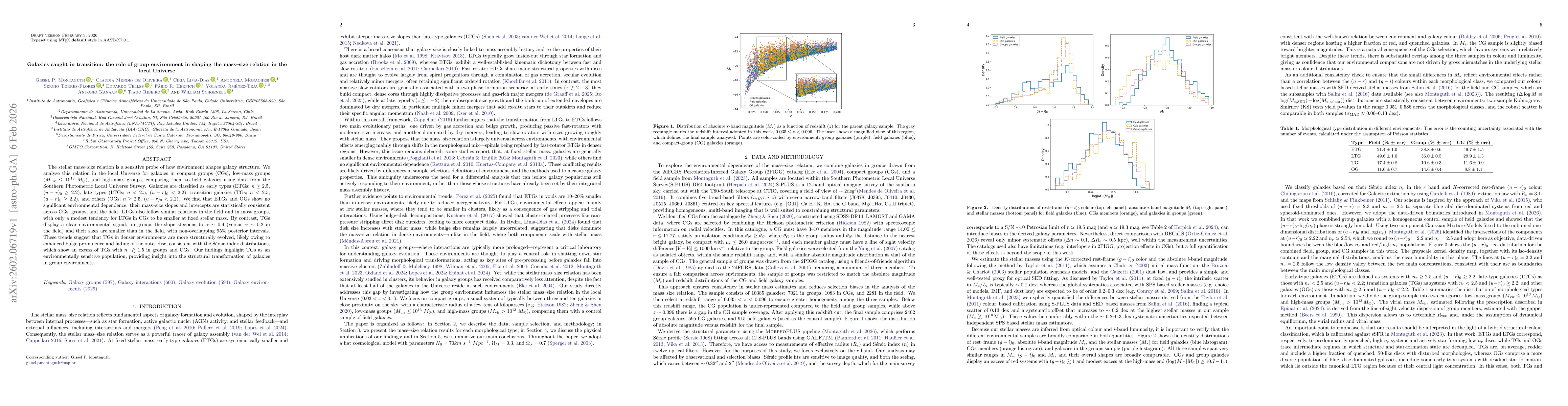 Thumbnail for Galaxies caught in transition: the role of group environment in shaping the mass-size relation in the local Universe