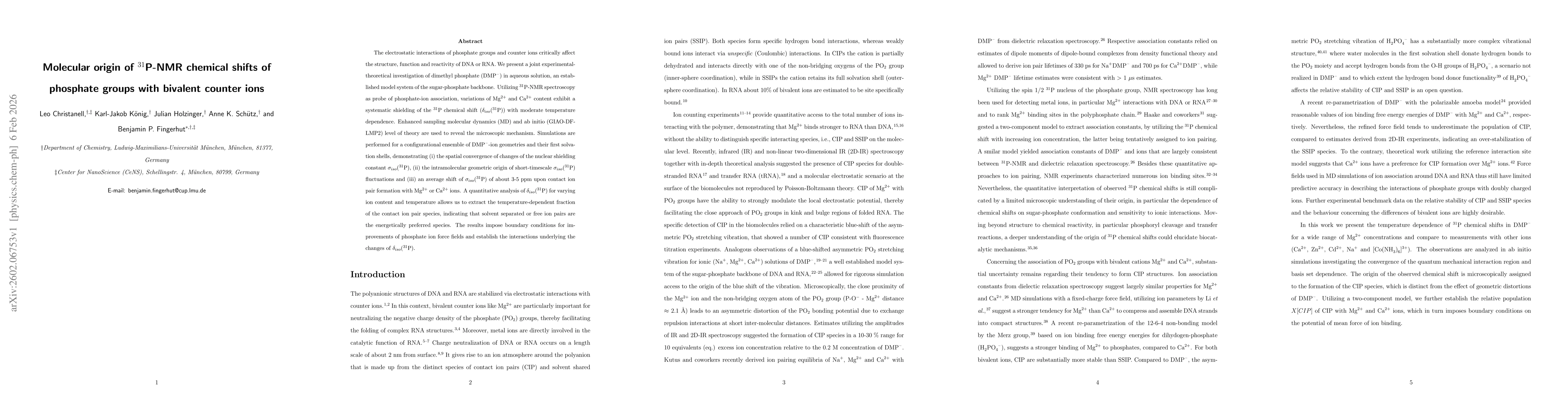 Thumbnail for Molecular origin of 31P-NMR chemical shifts of phosphate groups with bivalent counter ions