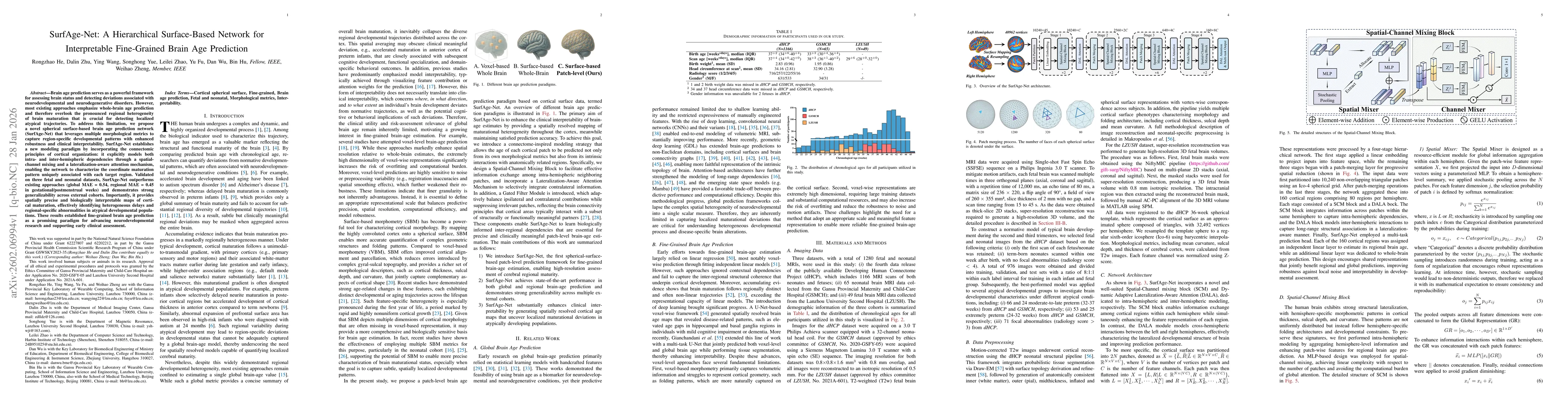 Thumbnail for SurfAge-Net: A Hierarchical Surface-Based Network for Interpretable Fine-Grained Brain Age Prediction