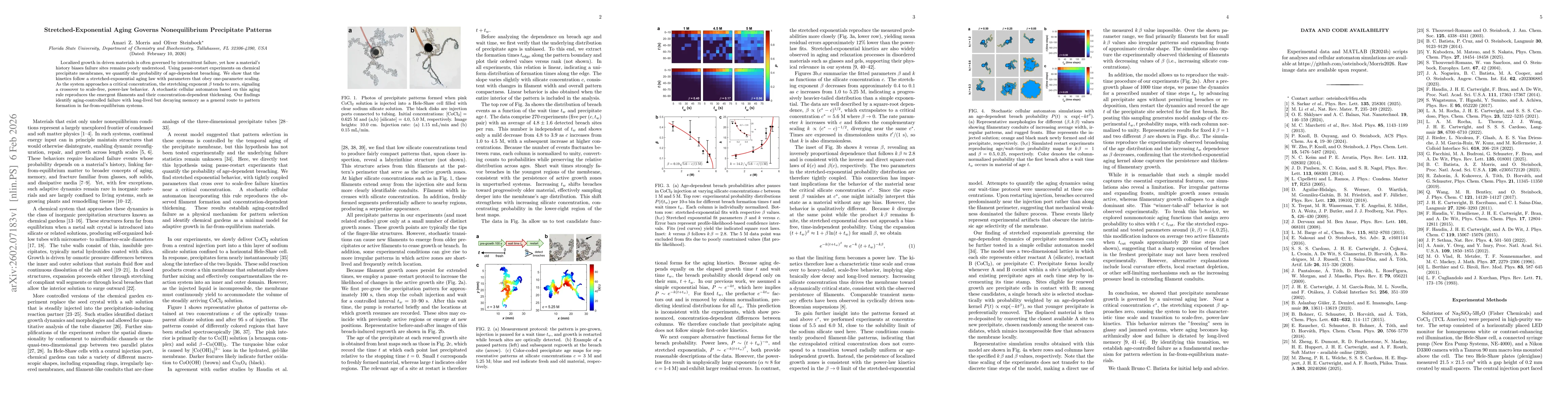 Thumbnail for Stretched-Exponential Aging Governs Nonequilibrium Precipitate Patterns