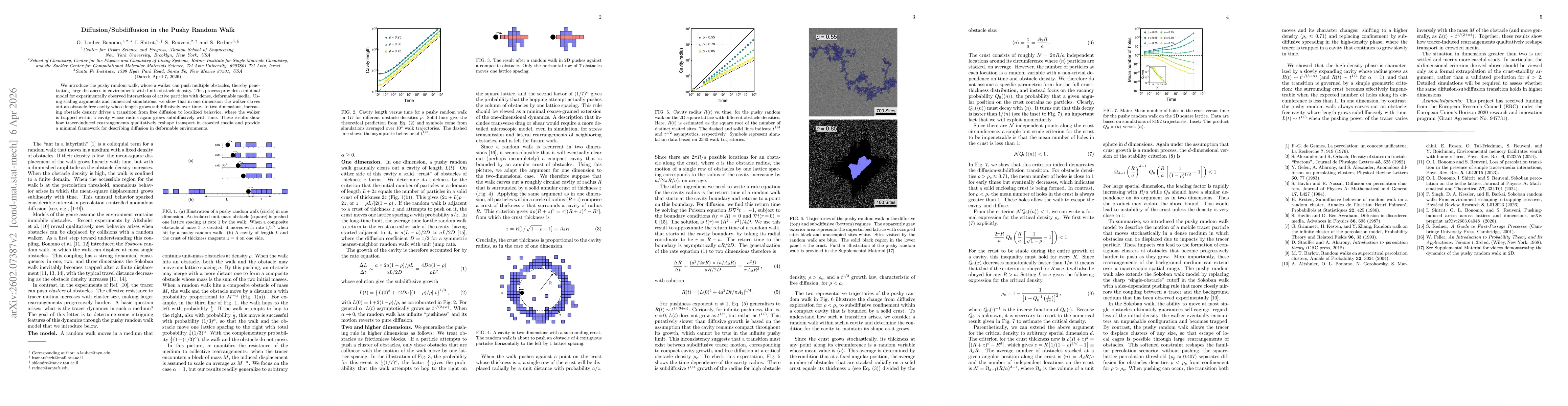 Thumbnail for Diffusion/Subdiffusion in the Pushy Random Walk