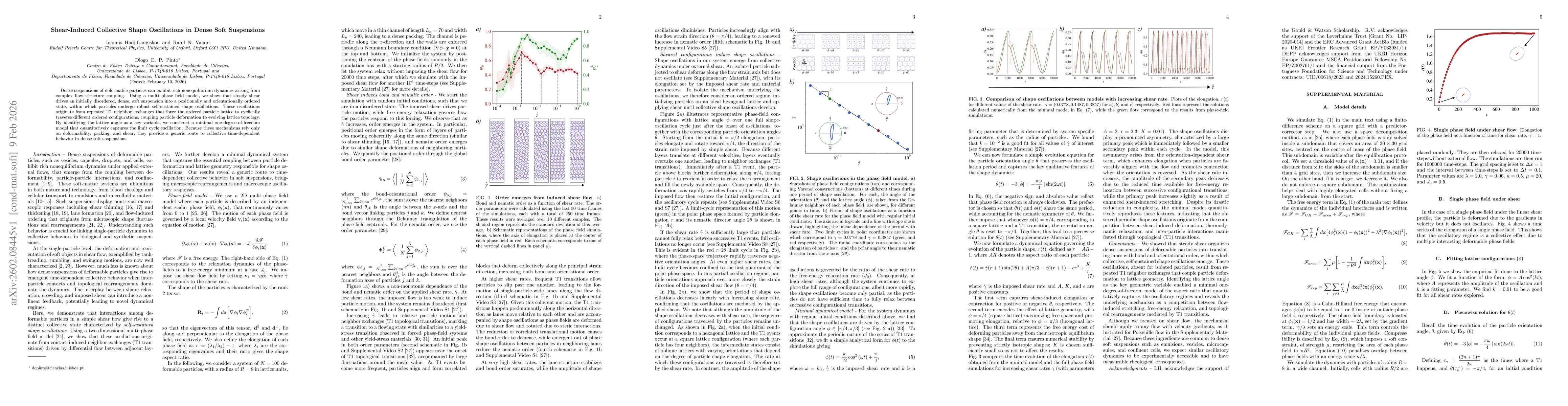 Thumbnail for Shear-Induced Collective Shape Oscillations in Dense Soft Suspensions