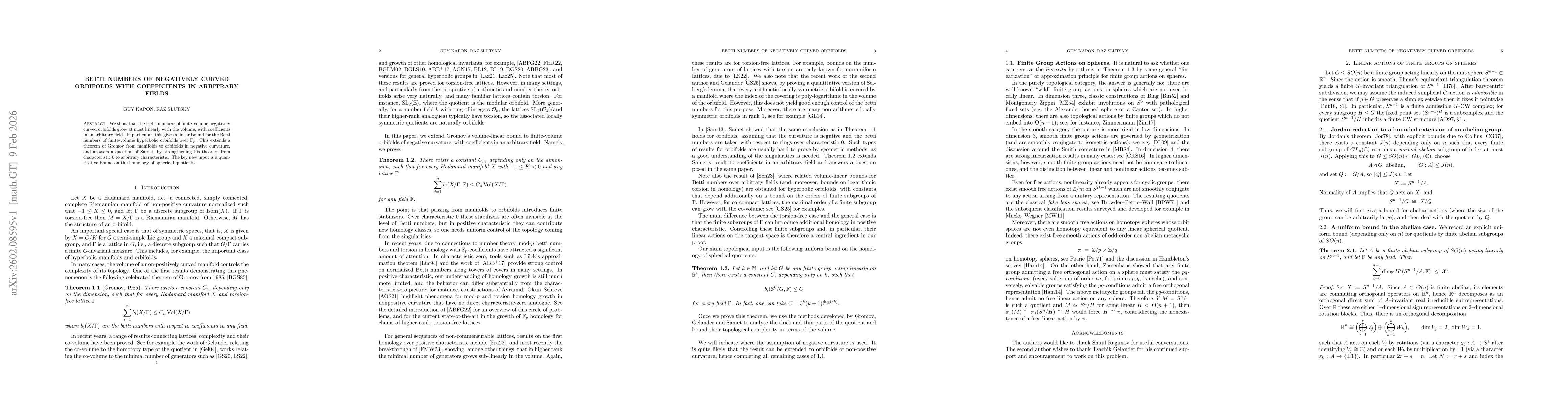 Thumbnail for Betti Numbers of Negatively Curved Orbifolds with Coefficients in Arbitrary Fields