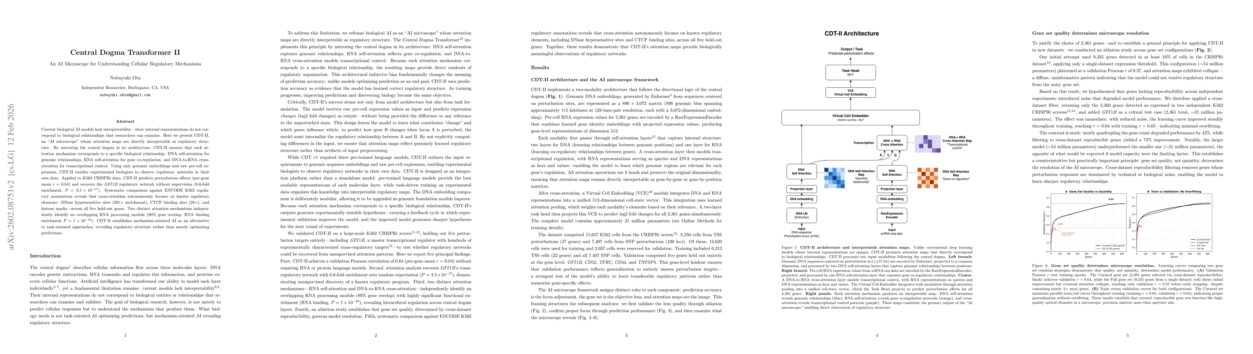 Thumbnail for Central Dogma Transformer II: An AI Microscope for Understanding Cellular Regulatory Mechanisms