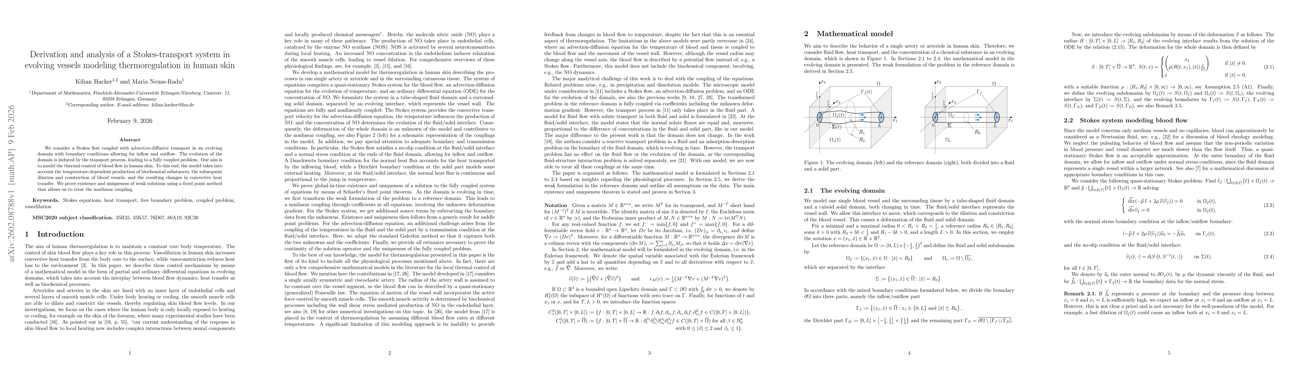 Thumbnail for Derivation and analysis of a Stokes-transport system in evolving vessels modeling thermoregulation in human skin