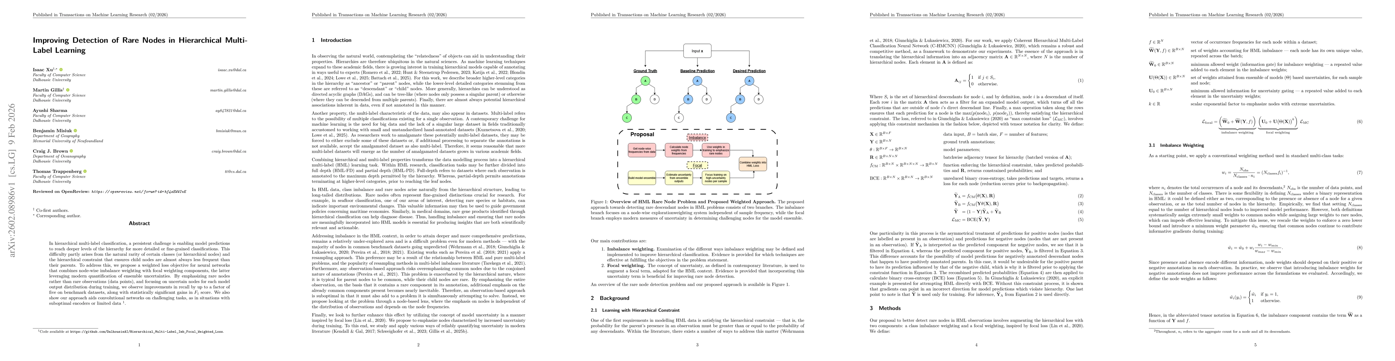 Thumbnail for Improving Detection of Rare Nodes in Hierarchical Multi-Label Learning