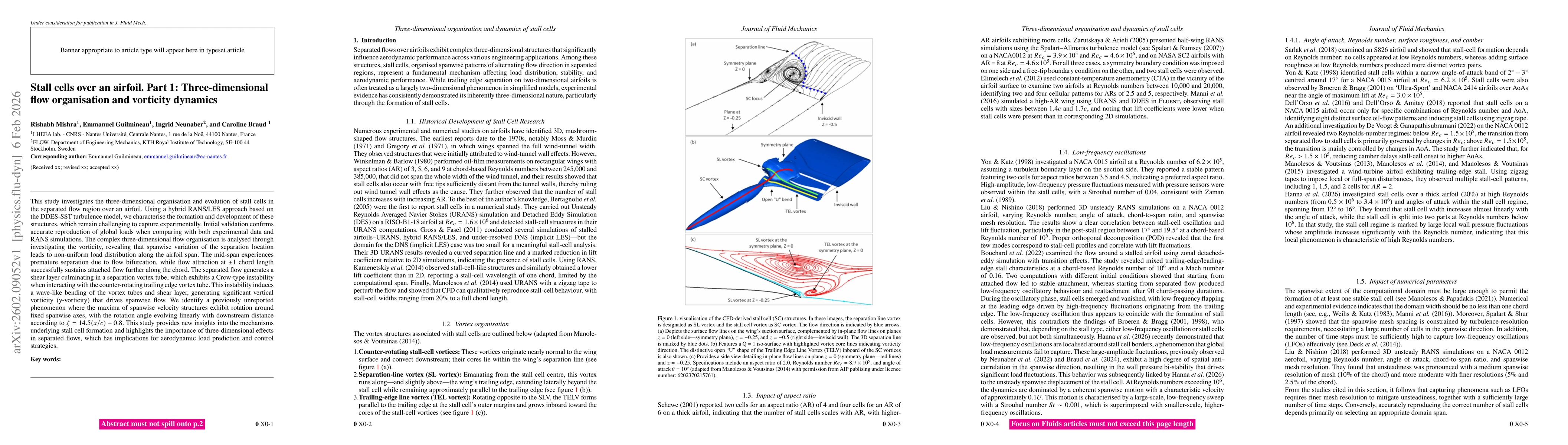 Thumbnail for Stall cells over an airfoil. Part 1: Three-dimensional flow organisation and vorticity dynamics