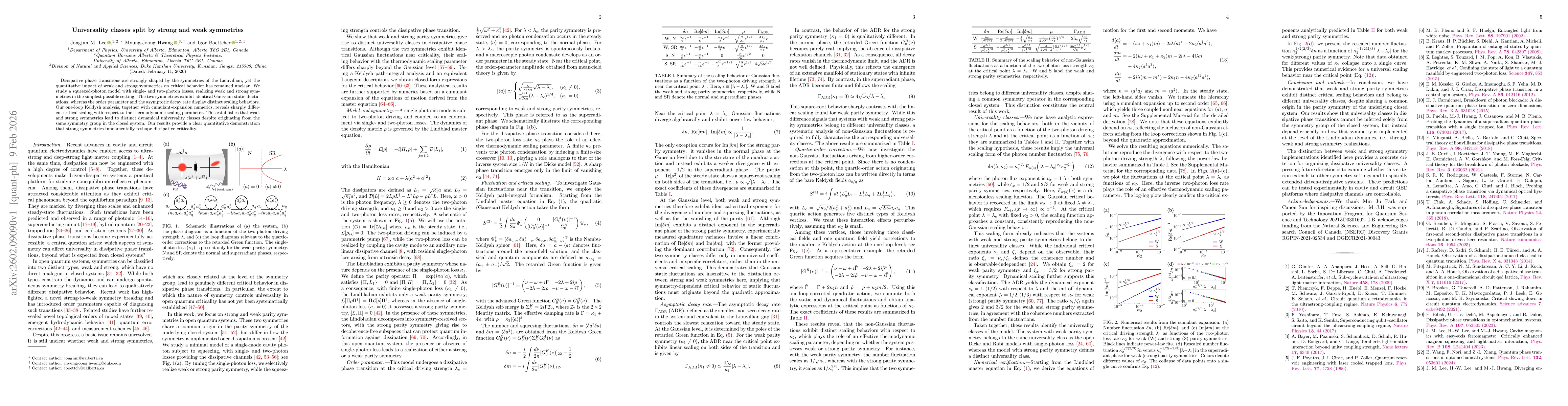 Thumbnail for Universality classes split by strong and weak symmetries