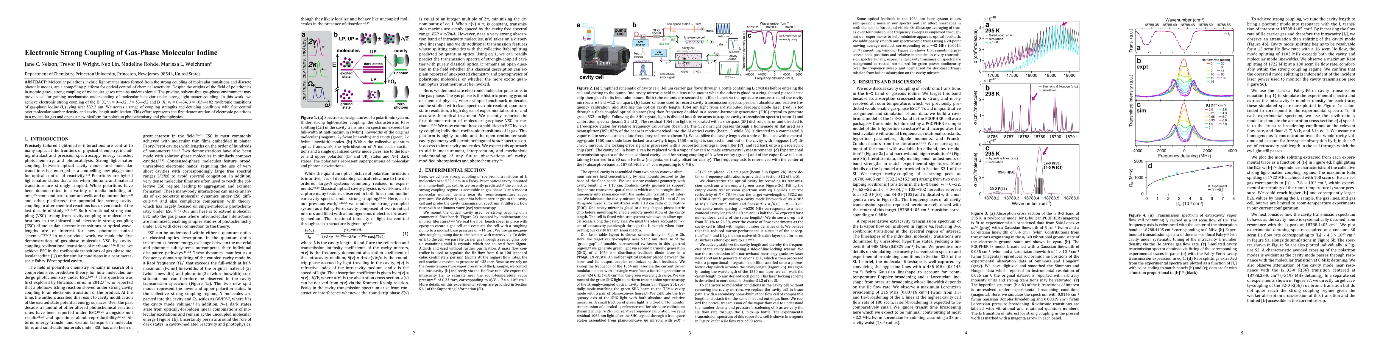 Thumbnail for Electronic Strong Coupling of Gas-Phase Molecular Iodine