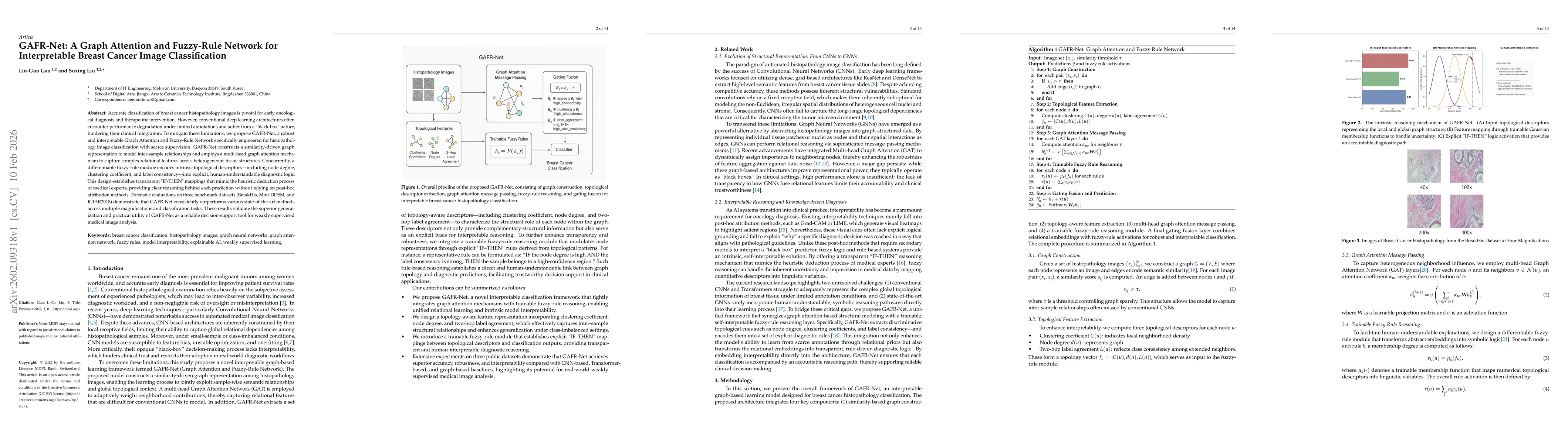 Thumbnail for GAFR-Net: A Graph Attention and Fuzzy-Rule Network for Interpretable Breast Cancer Image Classification