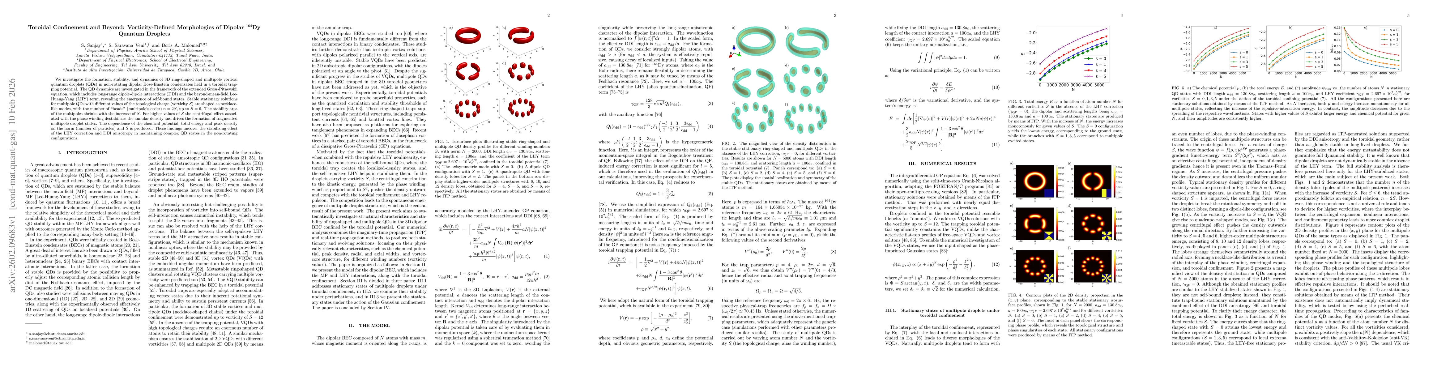 Thumbnail for Toroidal Confinement and Beyond: Vorticity-Defined Morphologies of Dipolar $^{164}$Dy Quantum Droplets