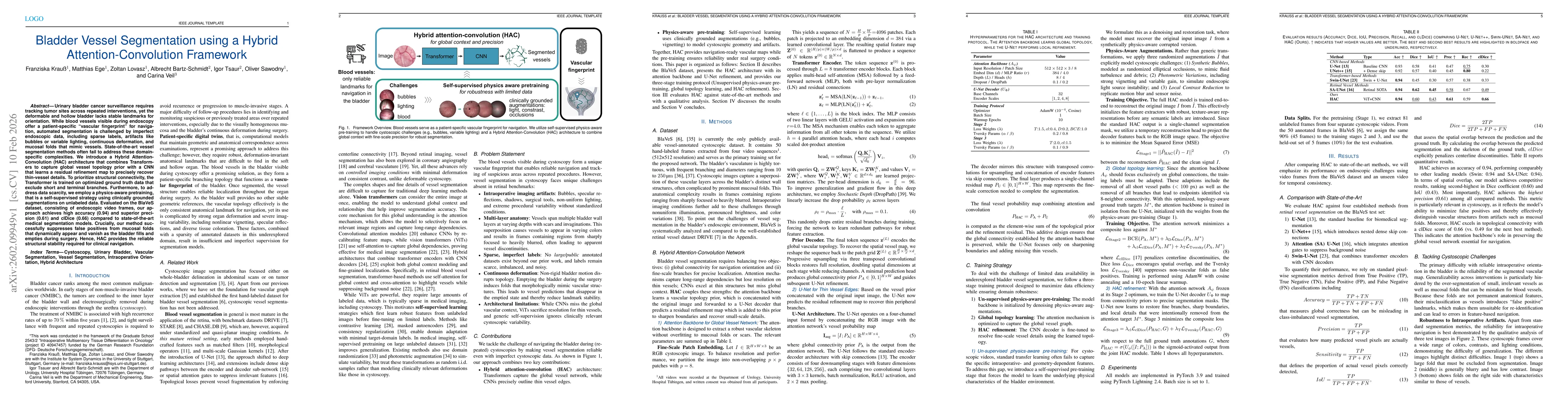 Thumbnail for Bladder Vessel Segmentation using a Hybrid Attention-Convolution Framework
