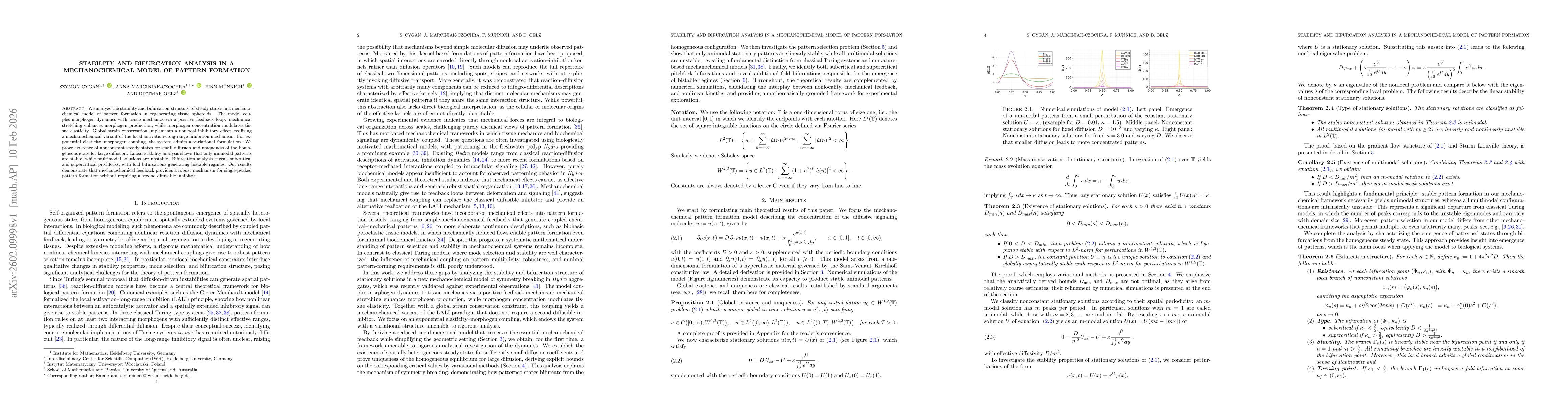 Thumbnail for Stability and bifurcation analysis in a mechanochemical model of pattern formation